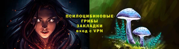 хмурый Алексеевка