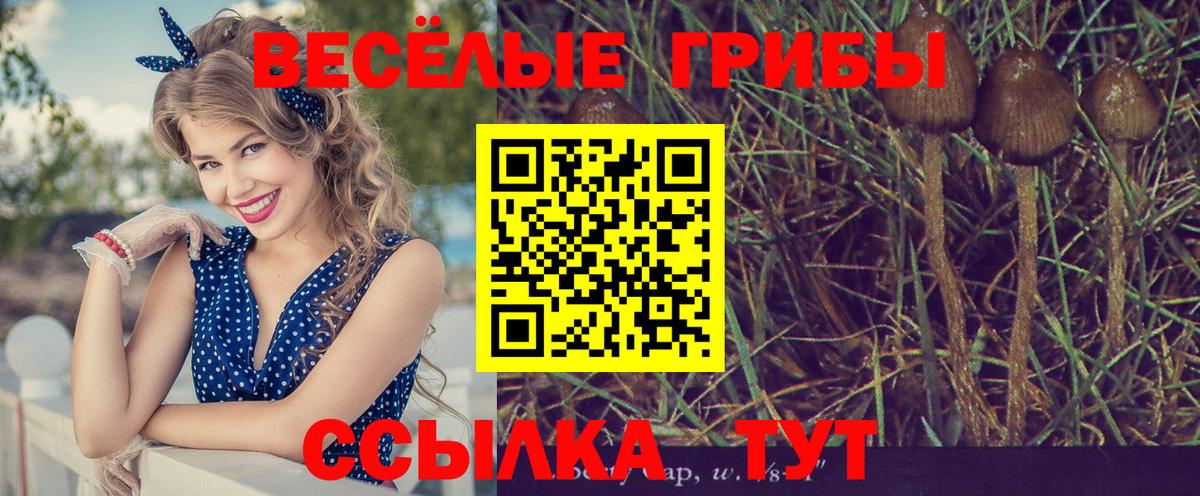Галлюциногенные грибы ЛСД Югорск